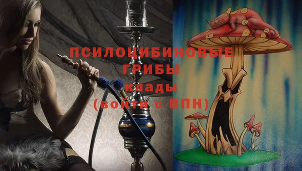 прущие крисы Володарск