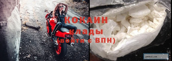 шишки Волоколамск
